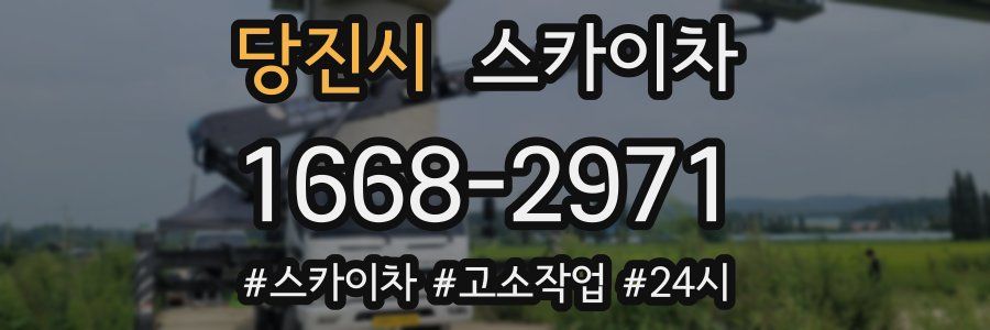 당진시 스카이차