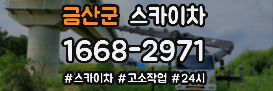 금산군 스카이차