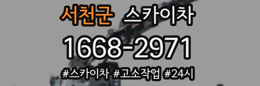 서천군 스카이차