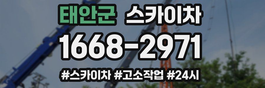 태안군 스카이차