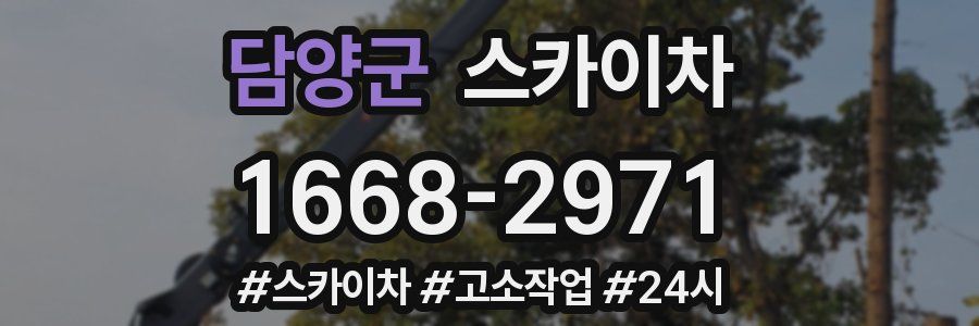 담양군 스카이차