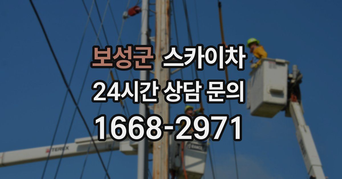 보성군 스카이차