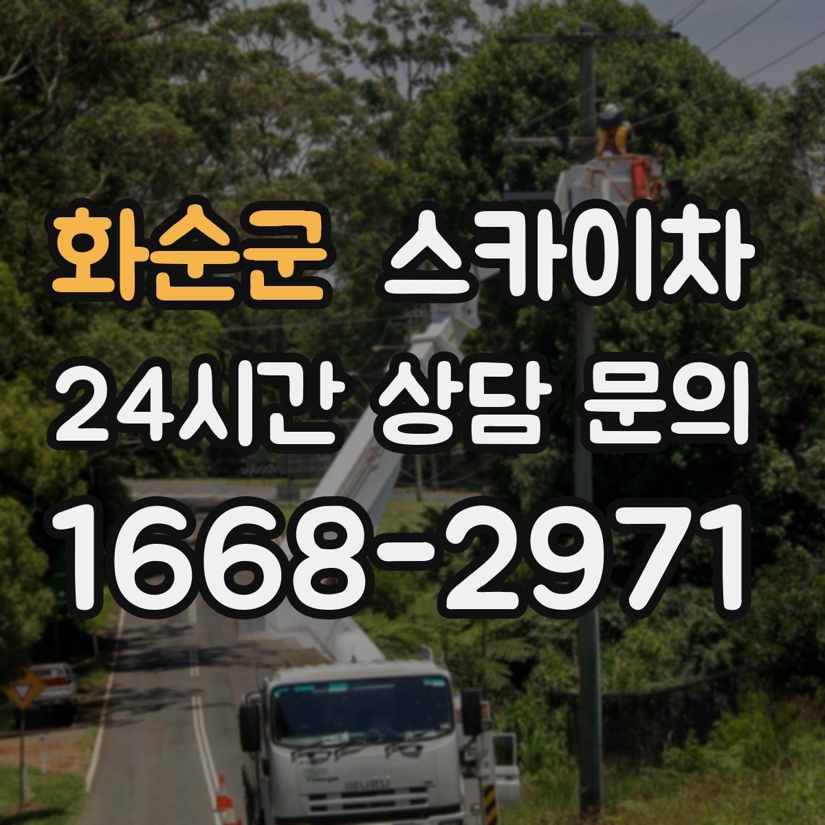 화순군 스카이차 나무 가지 전정 작업에 활용하는 방법