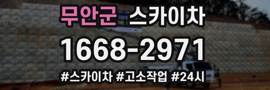 무안군 스카이차