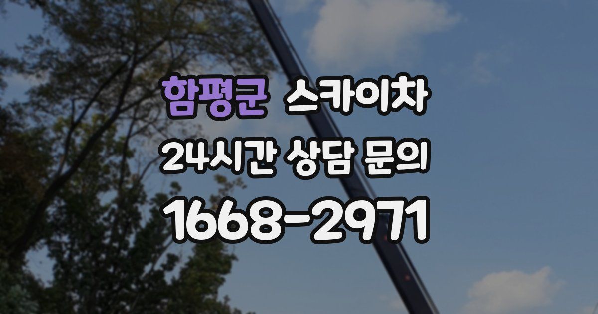 함평군 스카이차