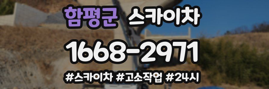 함평군 스카이차