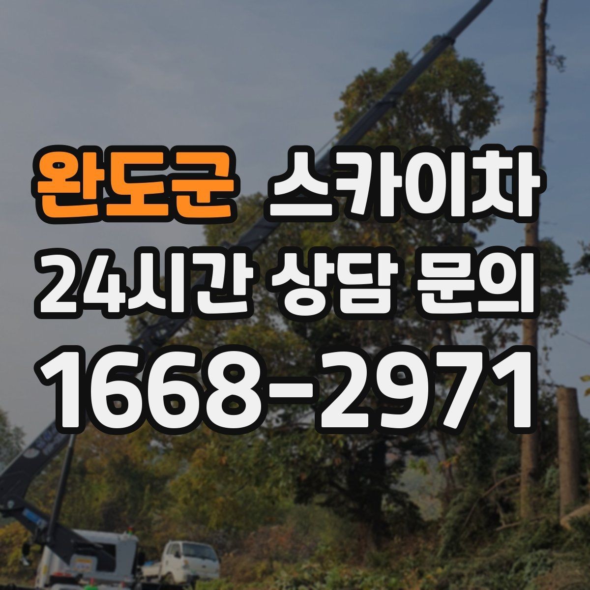 완도군 스카이차 고소 작업 일정이 급할 때 빠른 대응