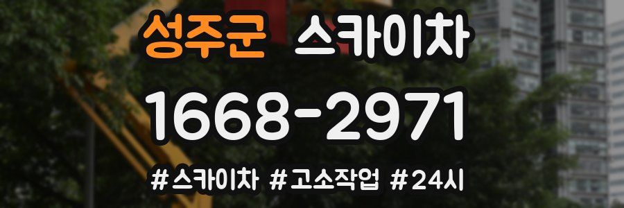 성주군 스카이차