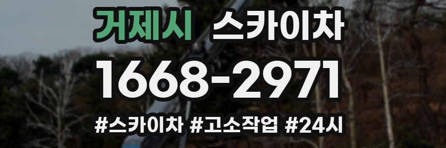 거제시 스카이차