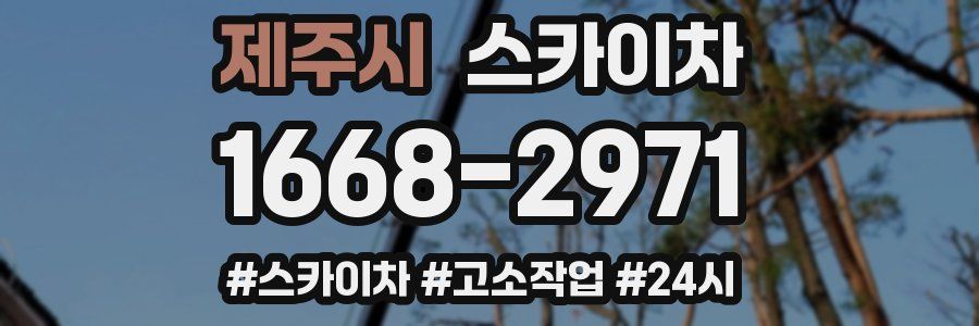 제주시 스카이차