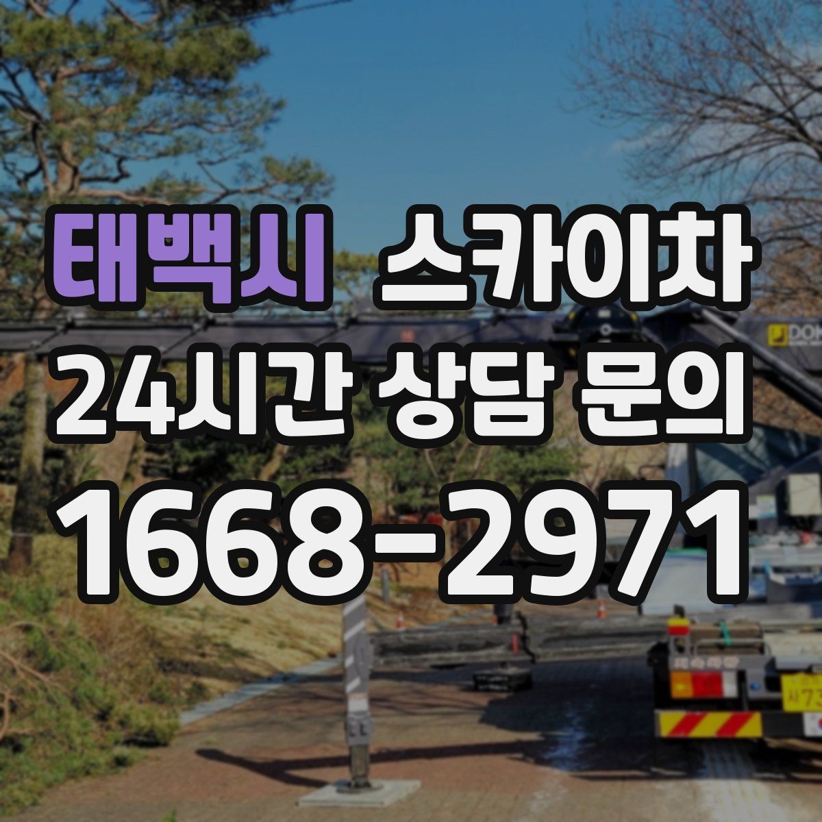 태백시 스카이차