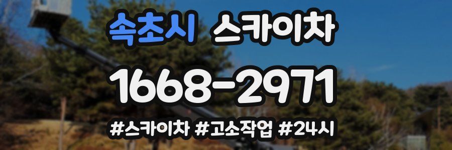 속초시 스카이차