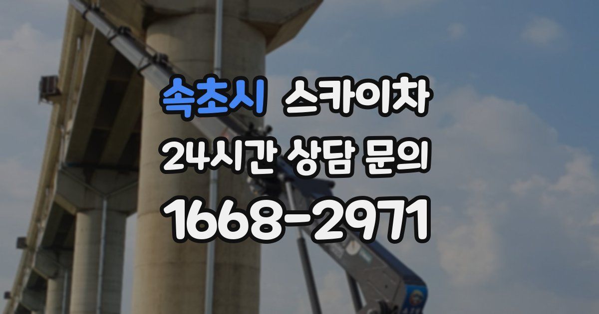 속초시 스카이차