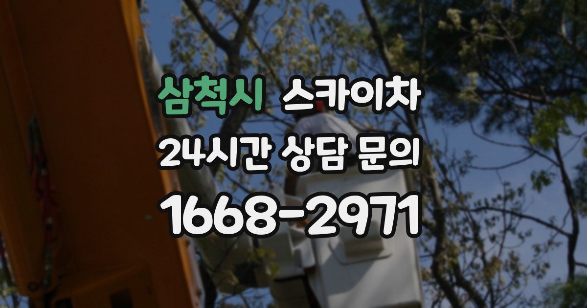 삼척시 스카이차