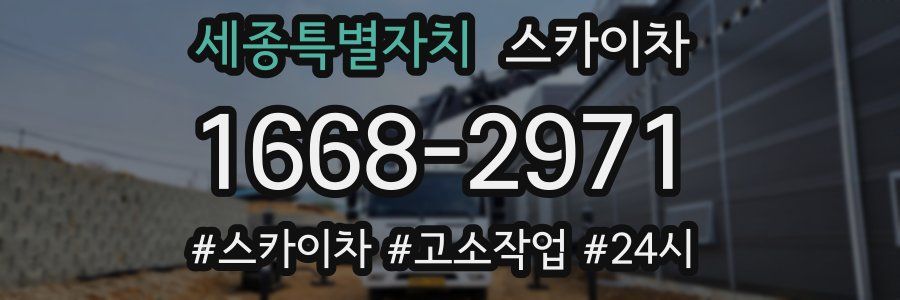 세종특별자치 스카이차