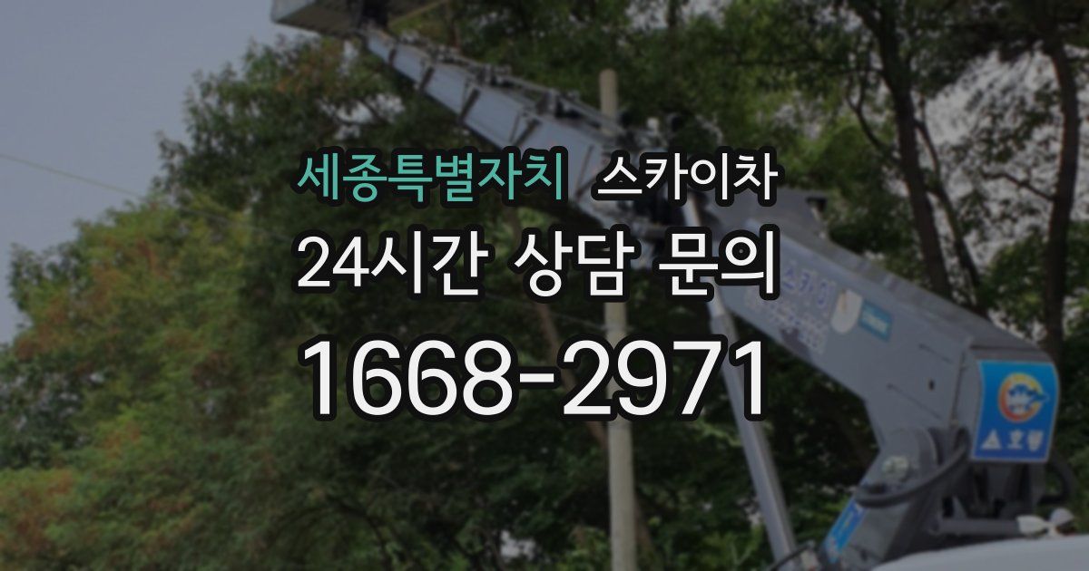 세종특별자치 스카이차