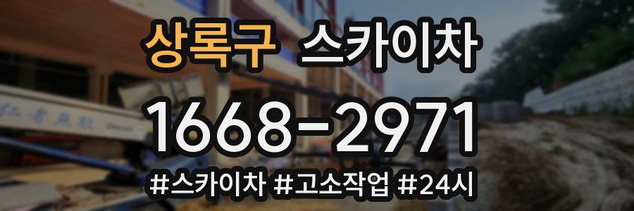 상록구 스카이차