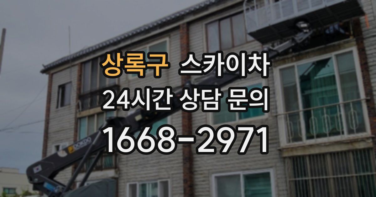 상록구 스카이차