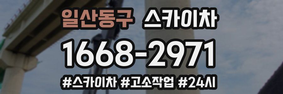 일산동구 스카이차