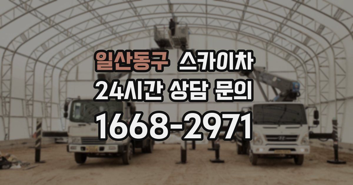 일산동구 스카이차