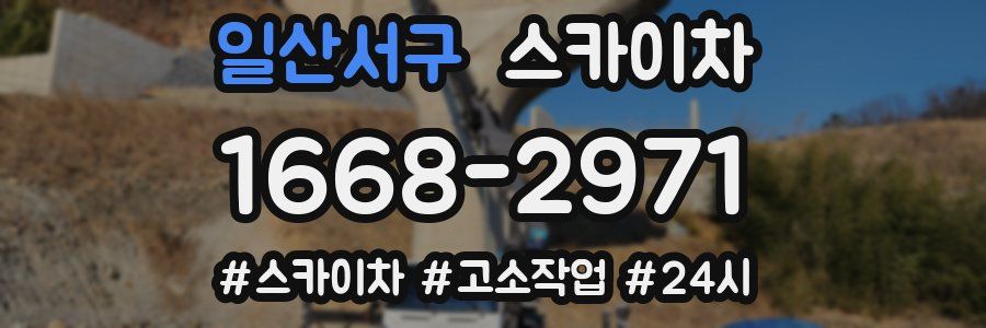 일산서구 스카이차