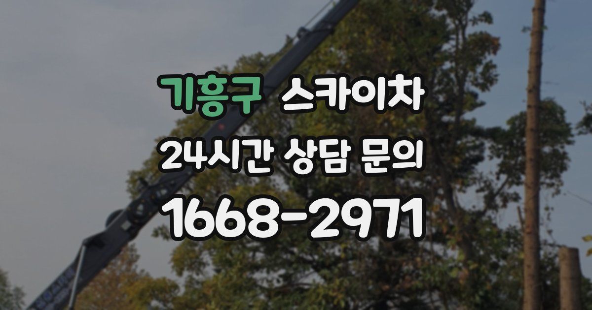 기흥구 스카이차