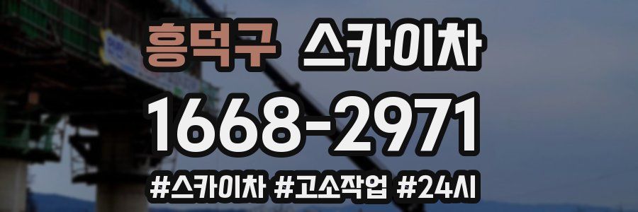 흥덕구 스카이차