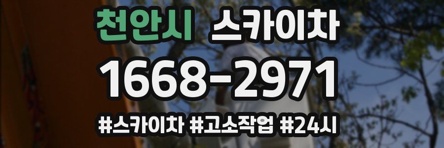 천안시 스카이차