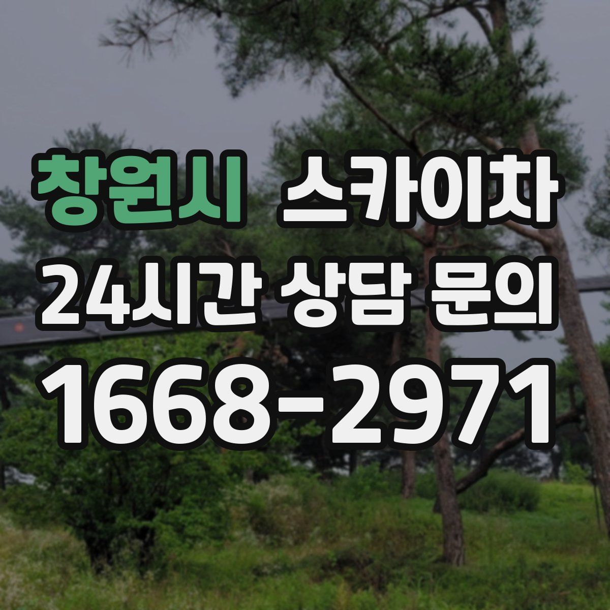 창원시 스카이차