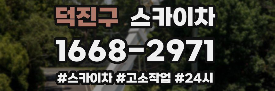 덕진구 스카이차