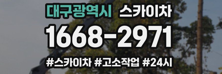 대구광역시 스카이차