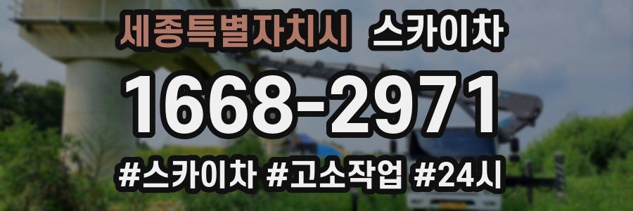 세종특별자치시 스카이차