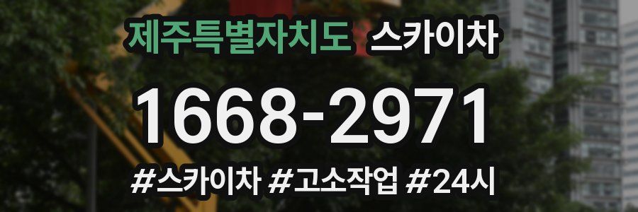 제주특별자치도 스카이차