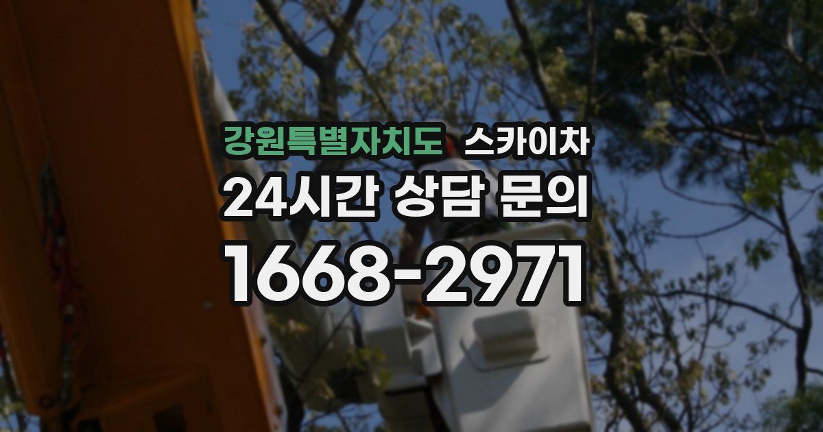 강원특별자치도 스카이차