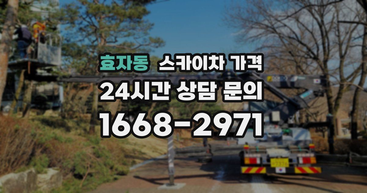 효자동 스카이차 가격