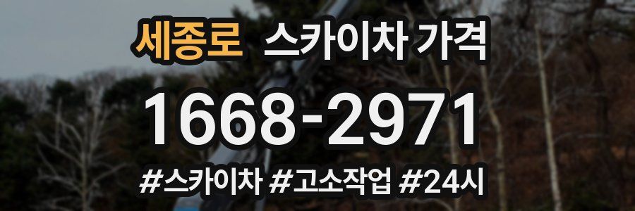 세종로 스카이차 가격