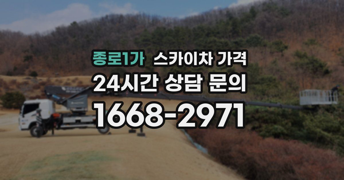 종로1가 스카이차 가격