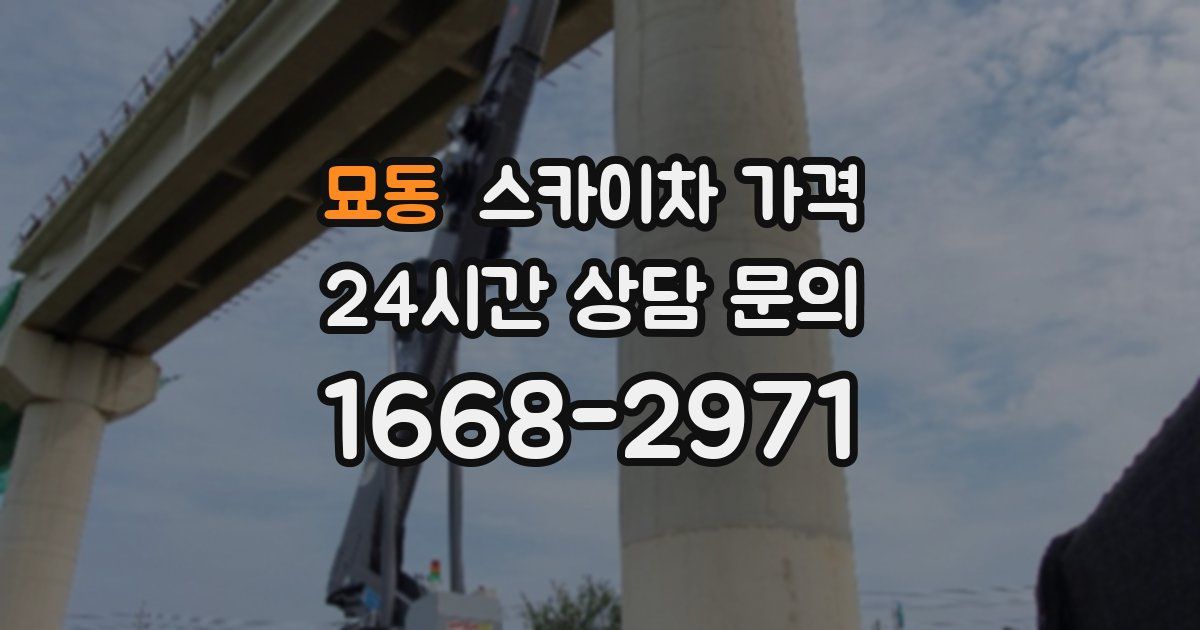 묘동 스카이차 가격