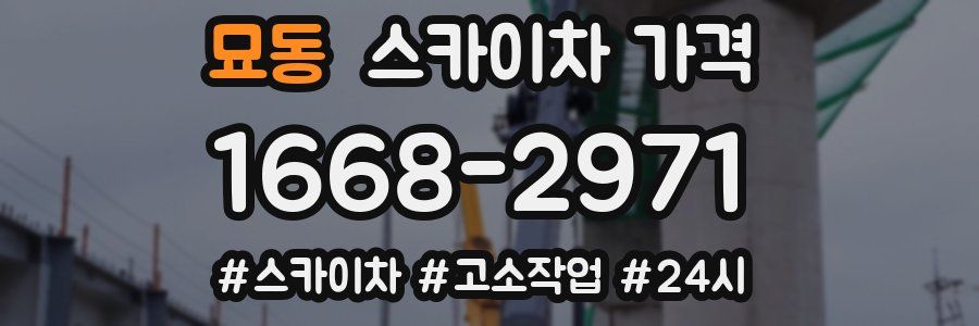 묘동 스카이차 가격