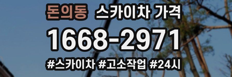 돈의동 스카이차 가격