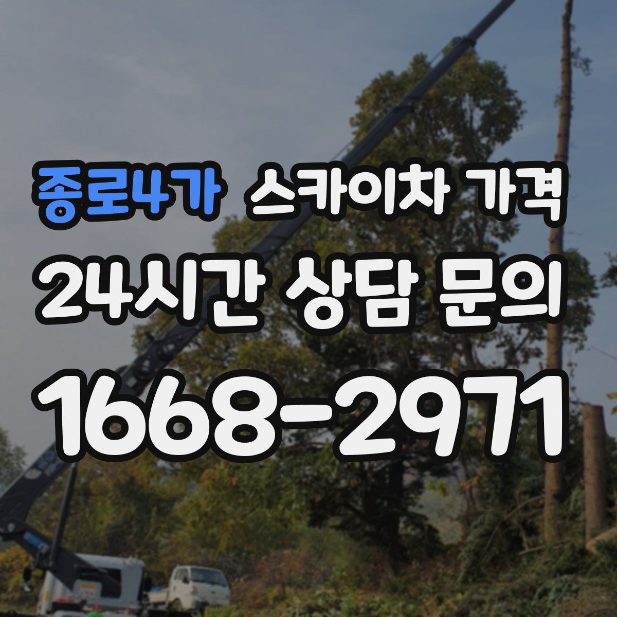 종로4가 스카이차 가격