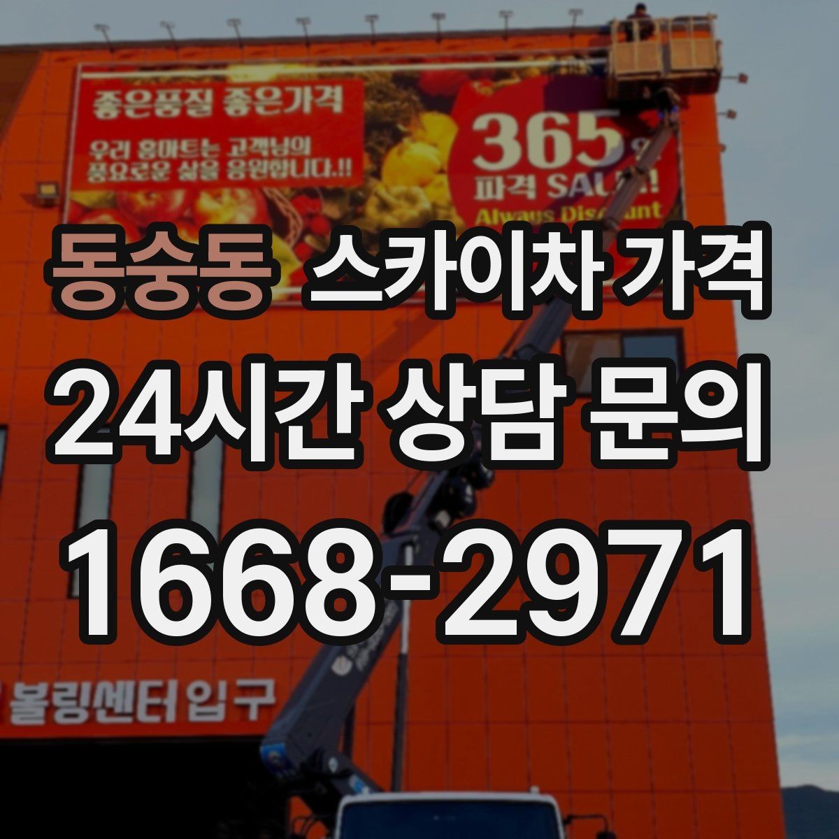 동숭동 스카이차 가격 가로등 작업은 왜 안전 통제가 중요할까