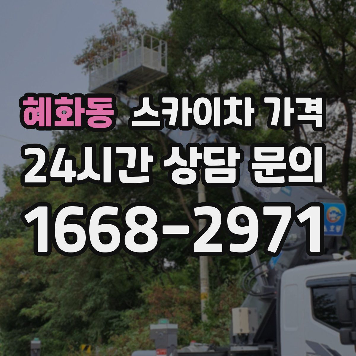 혜화동 스카이차 가격