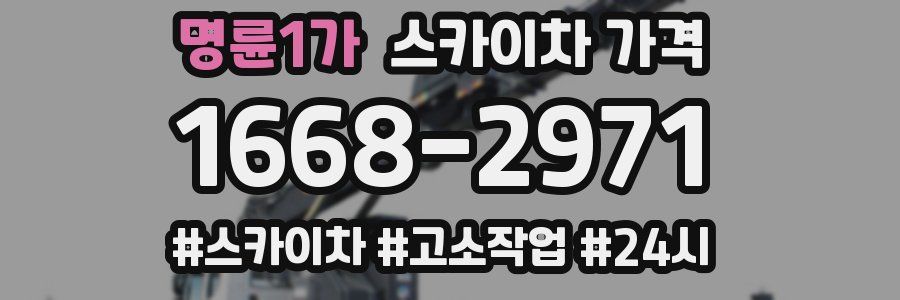 명륜1가 스카이차 가격