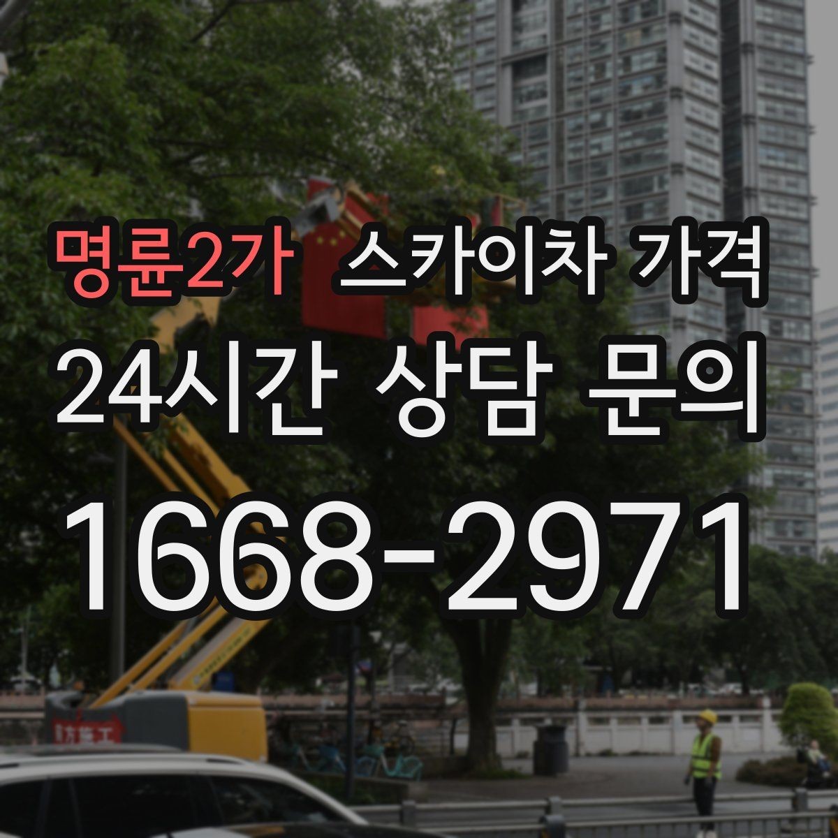 명륜2가 스카이차 가격 수목 전정 작업에서 확인할 항목