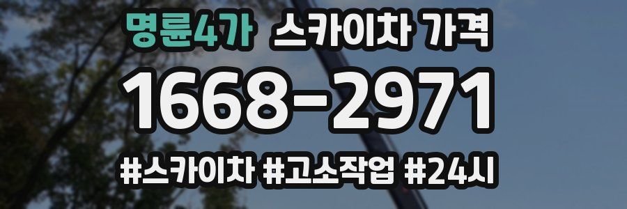 명륜4가 스카이차 가격