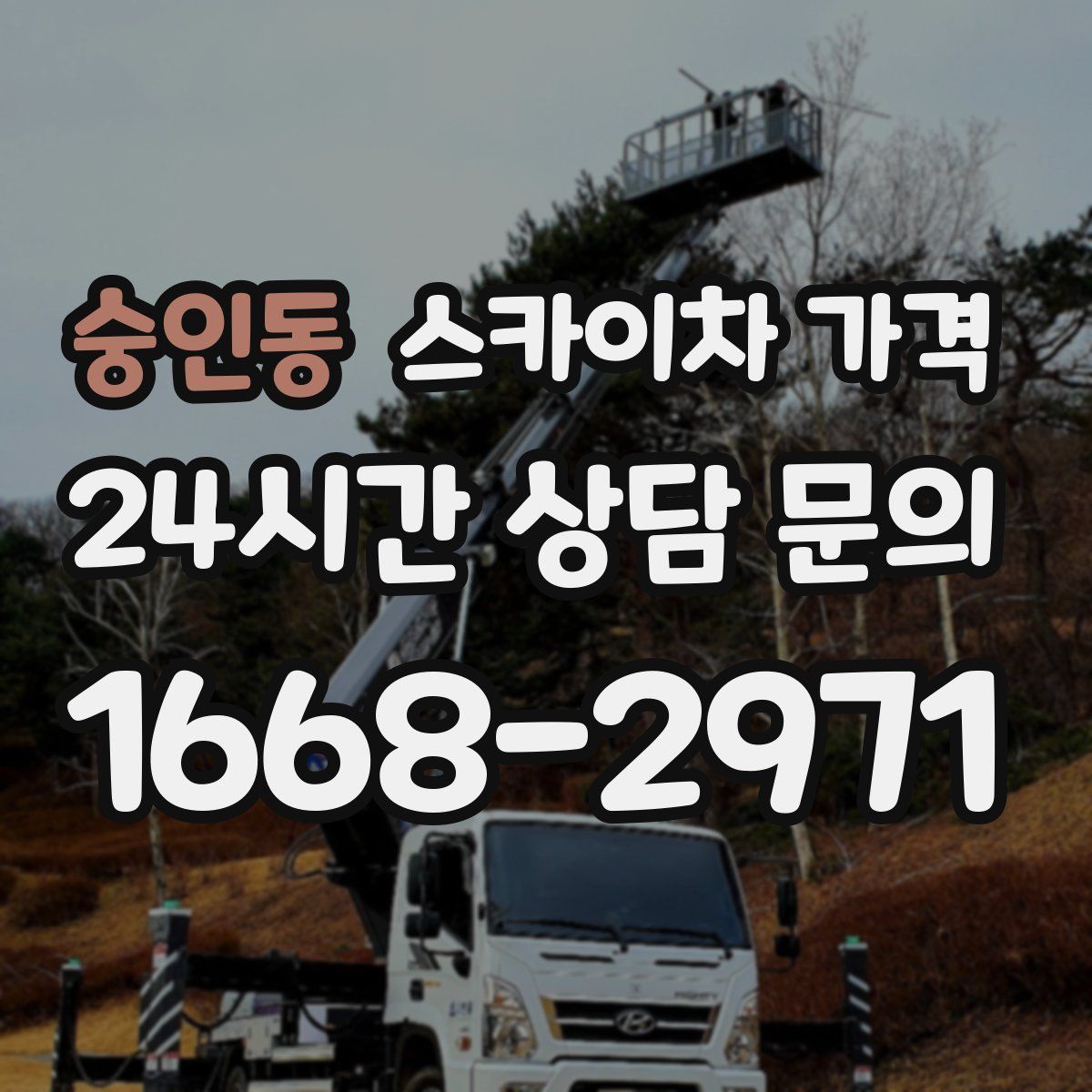 숭인동 스카이차 가격