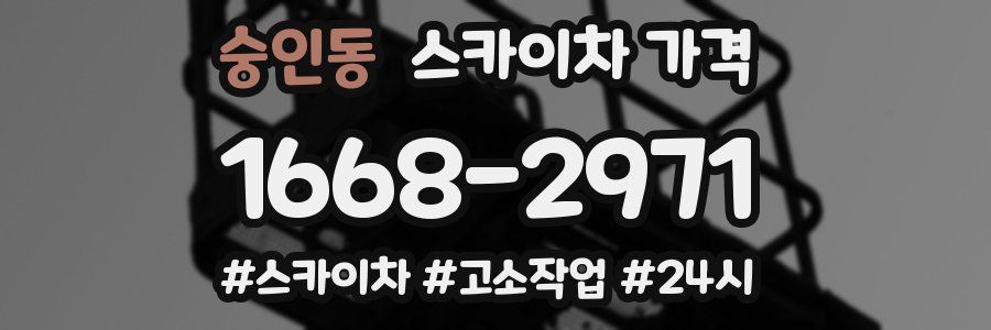 숭인동 스카이차 가격