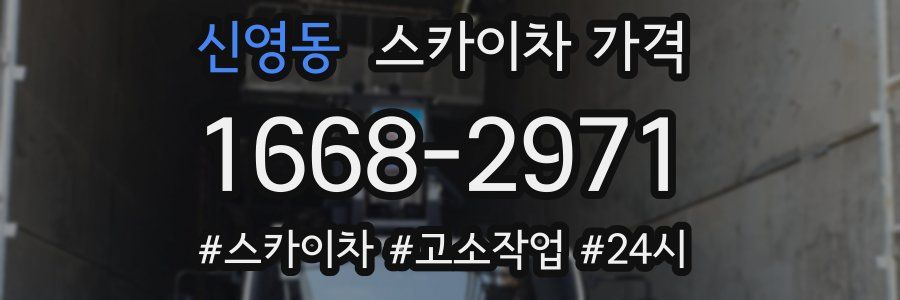 신영동 스카이차 가격