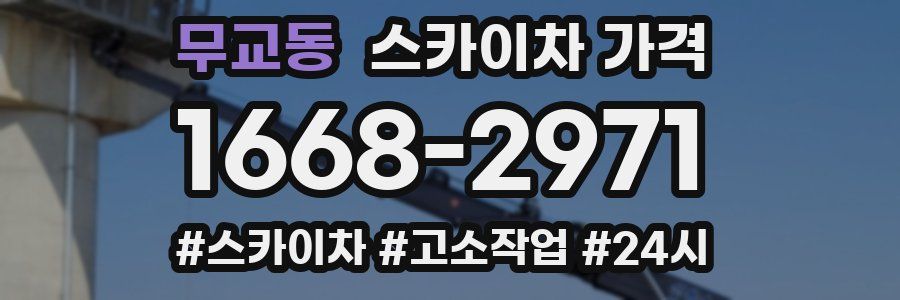 무교동 스카이차 가격